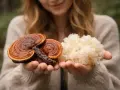 Dłonie trzymające grzyby reishi i białe grzyby. Te naturalne skarby wspierają antyoksydację i zdrowie.