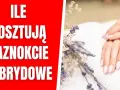 Ile kosztuje hybryda na paznokcie? Sprawdź ceny w salonach kosmetycznych
