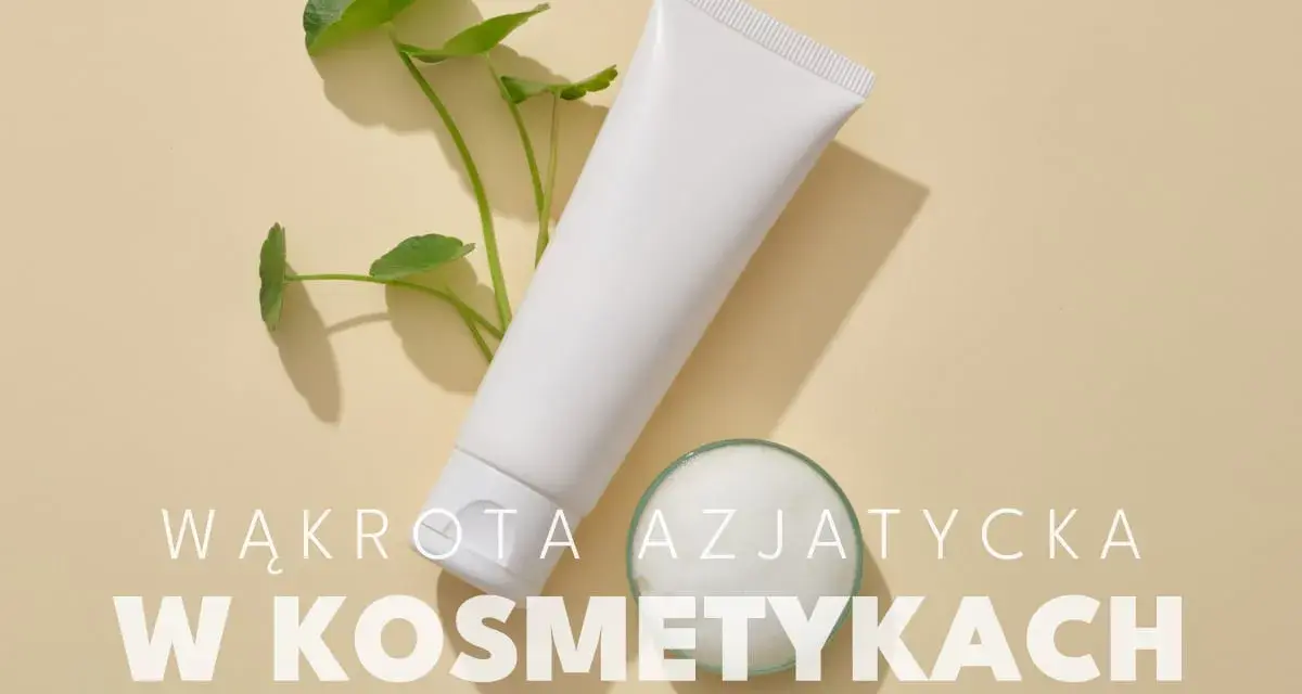 Biała tubka kosmetyku i gałązka z listkami. Wąkrota azjatycka w kosmetykach to sekret pięknej skóry.