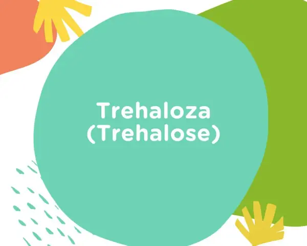Kolorowe kształty na białym tle. Na turkusowym okręgu widnieje napis "Trehaloza (Trehalose)".